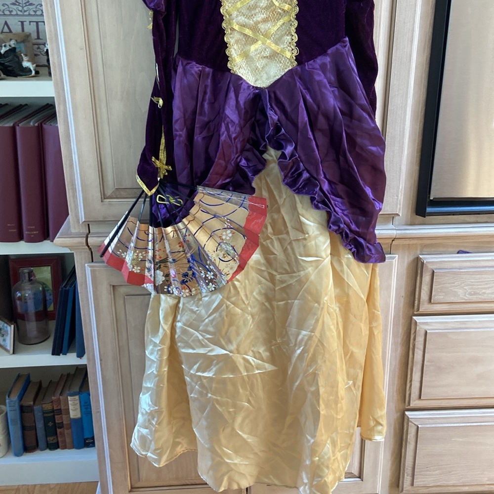 Dress Up America renaissance gown dress sz L 12-14